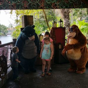 Meet your Posher, Bridget